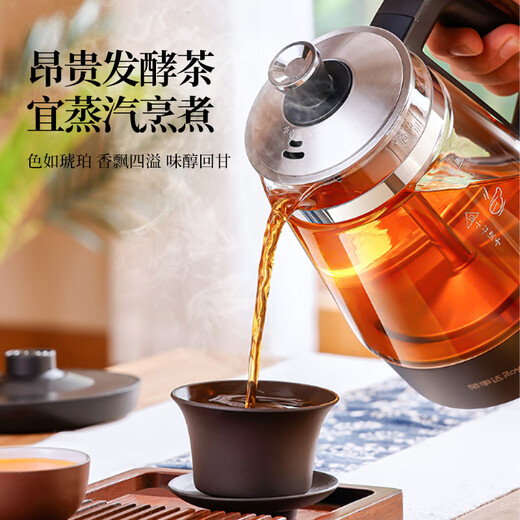 Royalstar tea kettle, health kettle, spray type kettle, kettle, electric kettle, steaming tea kettle, tea steamer, tea kettle, stove to make tea, 1L thermal insulation type