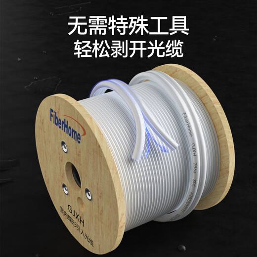 烽火（FiberHome）室内蝶形引入光缆光纤线皮线光缆fttr全屋组网4芯2钢丝100米GJXH-4