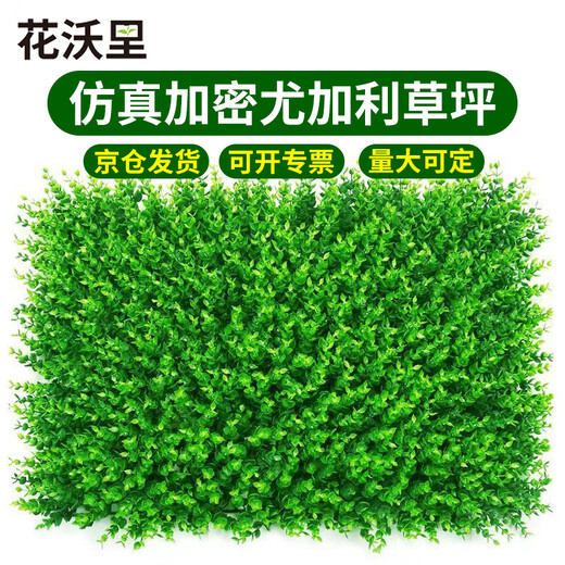 Huawoli simulated lawn (encrypted eucalyptus 40*60) plant wall green plant wall fake lawn turf background wall decoration