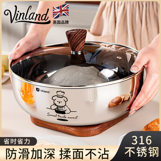 Vinland British 316 stainless steel basin thickened vegetable basin and basin for washing vegetables and salad soup basin food grade 24CM316L and basin-without cover 1 piece