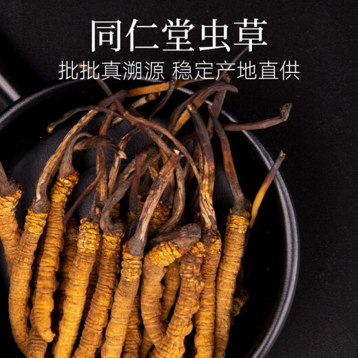 同仁堂品牌冬虫夏草约5根/g2g约10根高端营养营养滋补品长辈北京同仁堂