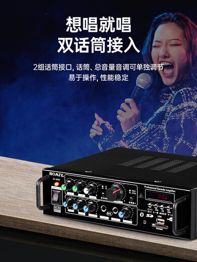 Sony Euro SA-1600 home KTV amplifier high-power audio Bluetooth AV amplifier professional hot-grade hifi conference new mini 2.0 fixed-impedance public amplifier combined power 200W (KTV mid-pack sound effect)
