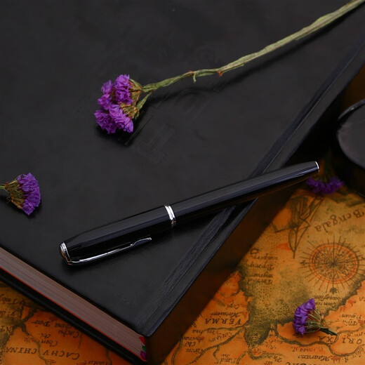 Picasso (pimio) pen 916 pen men and women business office pen adult student calligraphy practice financial pen birthday gift gift gift can be customized with engraving bright black financial pen 0.38mm