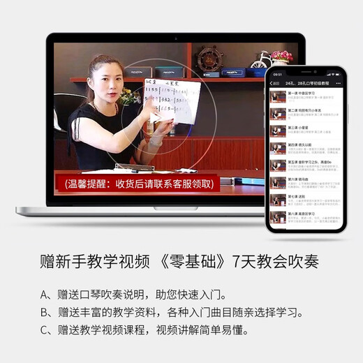 国光【高端品质】德国进口音簧重音口琴复音高端成人专业演奏入门初学 24孔 黑色重音C调+送铃木10孔口琴