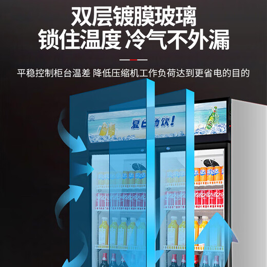 Bingxiong Displayschrank gekühltes Frischlagerschrank kommerzielle Gefrierschrankwein Direkter kaltes vertikaler Supermarkt Convenience Store Bar Biergetränkschrank Displanschrank 338 Eingangstür Displayschrank/Energieeinsparung und niedriger Verbrauch 540*530*1695
