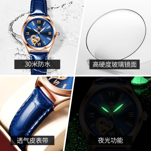 Swisss Swisss Swisss Swiss Watch Watch Женские механические часы Полностью автоматические водонепроницаемые светящиеся женские часы Hollow Diamond Set Watch Olevs-6636-голуба