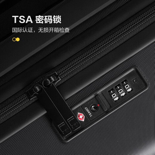 Horizon 8 (LEVEL8) suitcase male and female password student boarding case 20-inch traveler series classic PC universal wheel trolley case gray