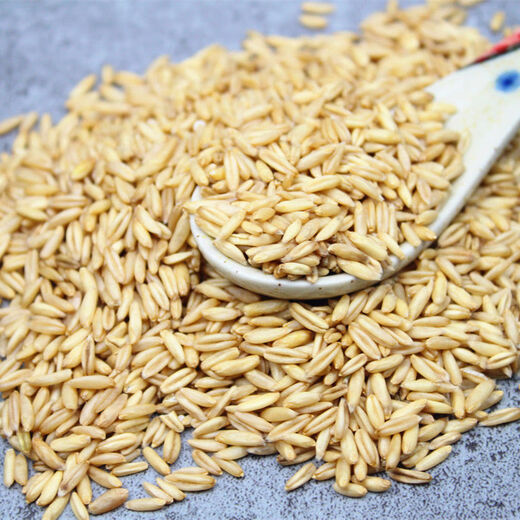 新货燕麦米5斤 农家自种燕麦仁荞麦米全胚芽燕麦五谷杂粮粗粮1斤 燕麦米14988g15038g