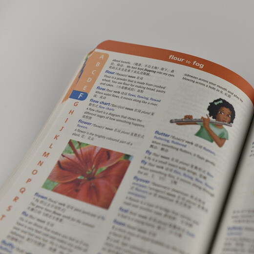 牛津小学生英汉双解词典(第2版)