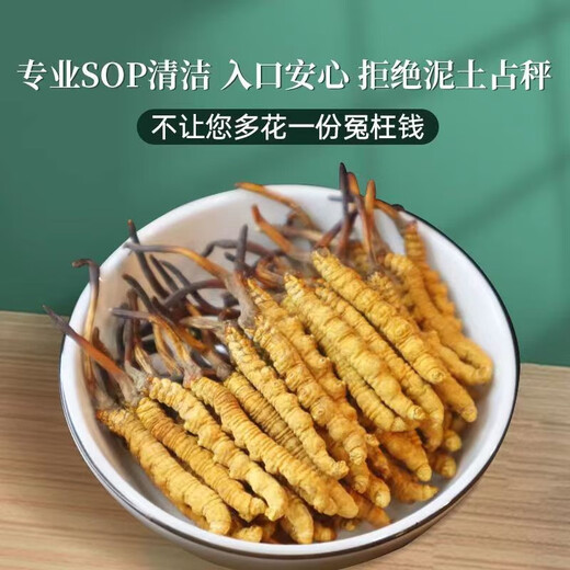 藏区雪域那l曲正宗虫草冬虫夏草虫草礼盒头期干货整滋补养生干货 西藏那曲50条礼盒装(两条一克）