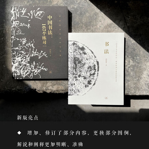 Chinese Calligraphy 167 Exercises (Analysis and Training of Calligraphy Techniques) (Updated Edition)