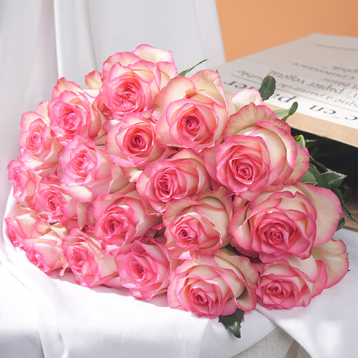 Jingdong Flowers Aisha rose 20 branches slightly spread flower type soilless cultivation home flower arrangement bouquet Shandong base direct delivery