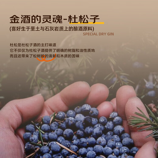 派斯顿白俄罗斯原瓶进口金酒45°烈酒洋酒小鸟瓦赛宁 端午节送礼 500mL 1瓶