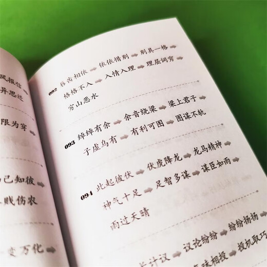 成语接龙800条（口袋本）