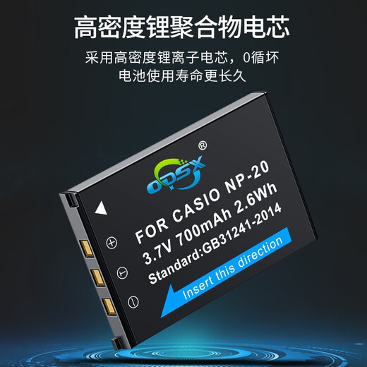 奥德盛（ODSX）好易通  电子词典  NP-20\/C 充电 电池 充电器 两电套装 （电池X2） 9888S