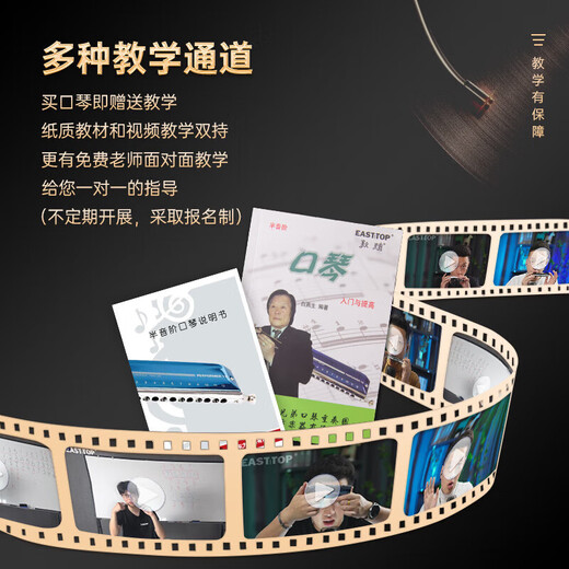 东方鼎半音阶口琴ET12 专业演奏初学练习通用款 拆卸便捷 12孔A调经典黑