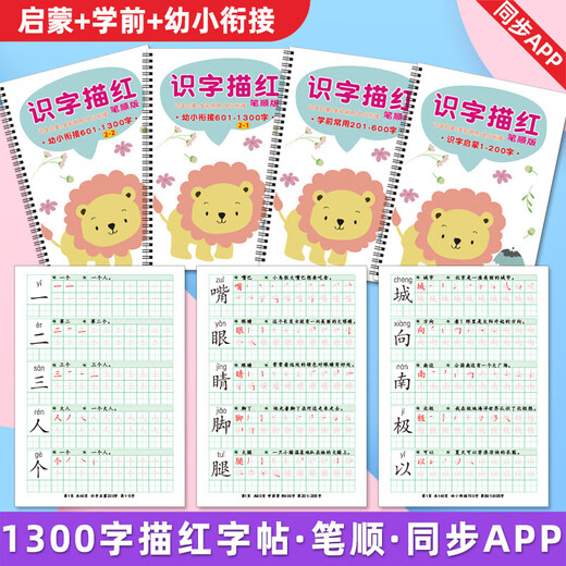 洪恩识字描红本字练字贴笔顺自制打印启蒙常用幼小衔接认字 全套1300字 260张 分4本圈装