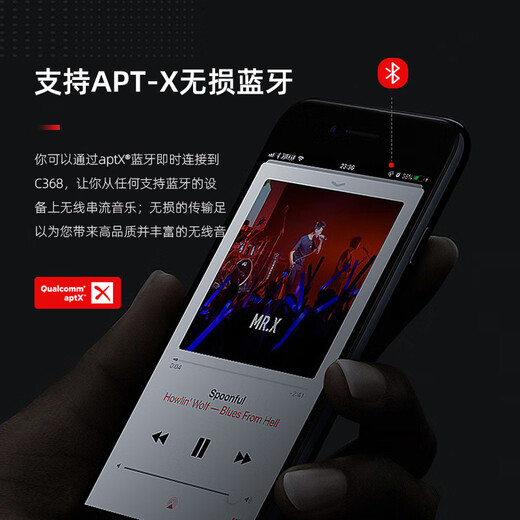 NAD C368 发烧级合并式功放功率放大器蓝牙HiFi音乐功放机家用立体声2.0声道 【套装】C368+达尼皇太子6