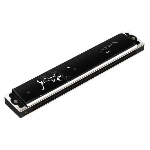 SWAN 24-hole polyphonic harmonica advanced adult beginner professional playing harmonica C key Chinese style design (black)