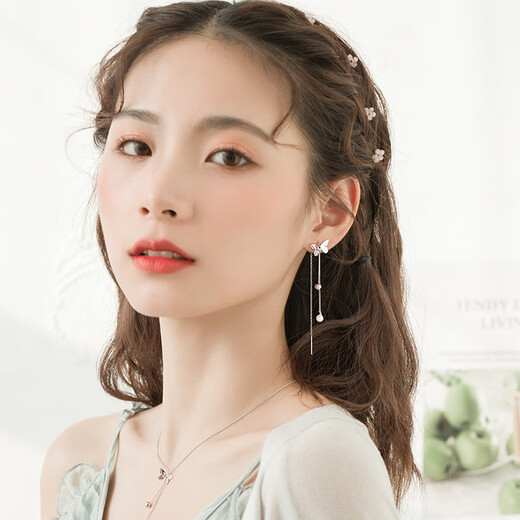 Crystal butterfly tassel ear wire girlfriend silver earrings 2025 new high-end earrings long birthday gift