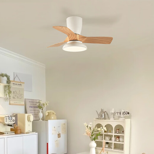 Weather Vane Moderne einfache Kinderzimmerlüfter Leichtschlafzimmer Deckenventilator Leuchtfrequenzwandler Elektrischer Lüfter Kronleuchter stiller Haushalt Integrierter Lichtventilator Frequenzwandler 32-679a Schwarz Decken-tiefe Holzkorn Lichtwechsel Wechselferner sich
