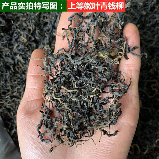 Hua Tuo Shiyi Qingqian Liu Tea Medicinal Materials de 23 años El nuevo té está disponible para el mercado de Green Green Green Qian Liu Té 70g 500g Árbol antiguo Hojas tiernas Golden Qian Liu Té 250g (250g*1 bolsa)