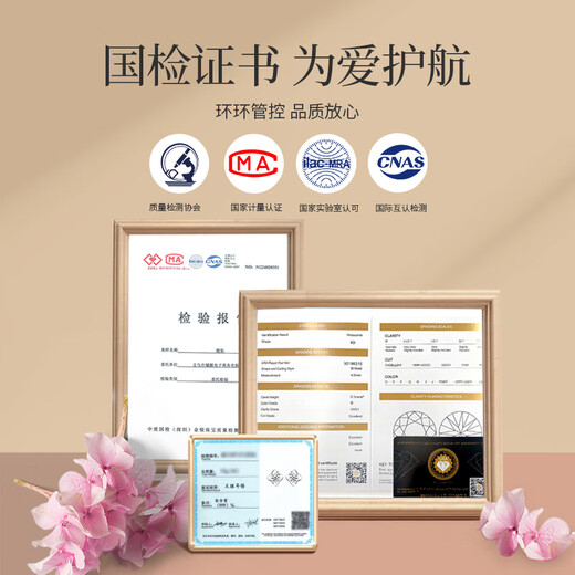 The only (Winy) moissanite 999 sterling silver earrings for mom’s birthday gift for women to show their temperament, niche and high-end earrings