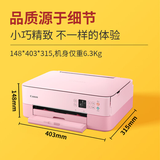 佳能（Canon）TS5380打印机连供墨仓自动双面打印复印扫描多功能一体机手机无线照片学生家用办公彩色喷墨作业 TS5380t粉红【微信远程+手机无线+自动双面】 套餐三：主机+连供墨仓+黑彩墨水8
