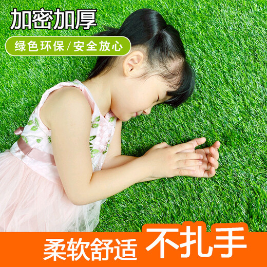 Kaosen Green Carpet Outdoor Terrace Simulated Lawn Roof Sunscreen Insulation Artificial False Turf Enclosure Project Toddler 1.5cm Encrypted Model