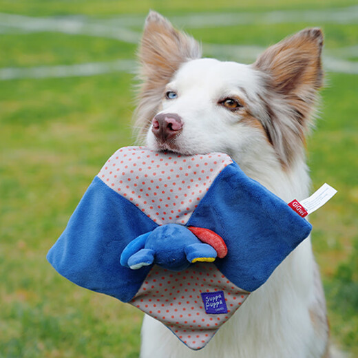 GiGwi dog toys Q fun ringing paper towel elephant dog ringing paper sound plush teeth cleaning and molaring two kinds of sound pet toys