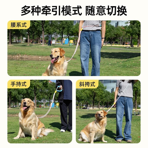Qi Oh dog leash P rope explosion-proof and anti-breakaway medium and large dogs and small dogs leash collar collar dog walking artifact gradient blue bold - pull out the guarantee