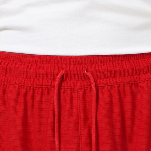 耐克（NIKE）  男装 篮球 针织短裤 SHORT CZ4772-687 CZ4772-687/秋季  L (175/80A)