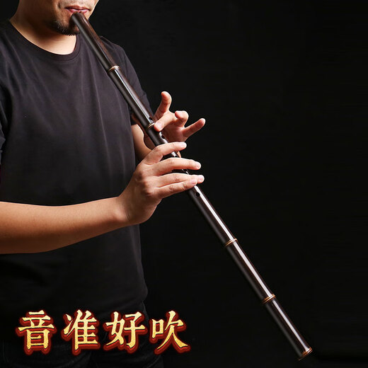 伶吟专业入门一节洞箫紫竹萧深色八孔古风萧 8孔正手G调+箫筒+箫曲谱集