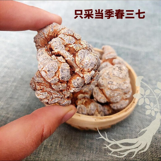 云露源文山三七头片三七粉田七大号带剪口正宗滋养气血中药材母亲节 20头带剪口 250g(如需切片磨粉请留言)
