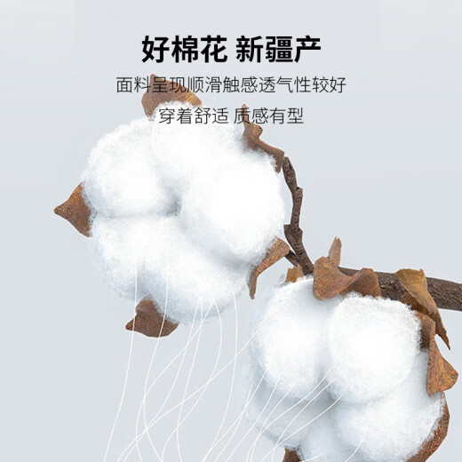 南极人（Nanjiren）衬衫男短袖夏季纯色商务休闲衬衣舒适透气短袖白衬衫男白色衬衫