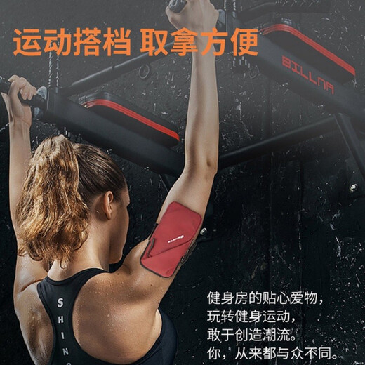 Jiucan mobile phone arm bag for men and women outdoor fitness running water-repellent arm bag wrist bag mobile phone case wrist cover new silver gray