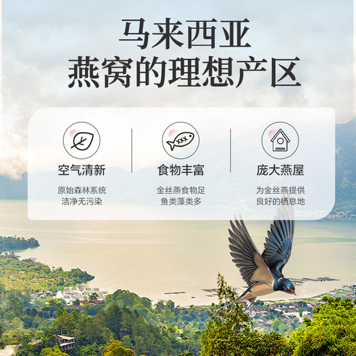 雷允上干盏燕窝干燕窝100g5星一级燕盏【密盏】马来进口