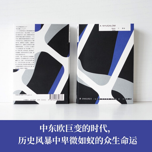【正版全新】宁静海(