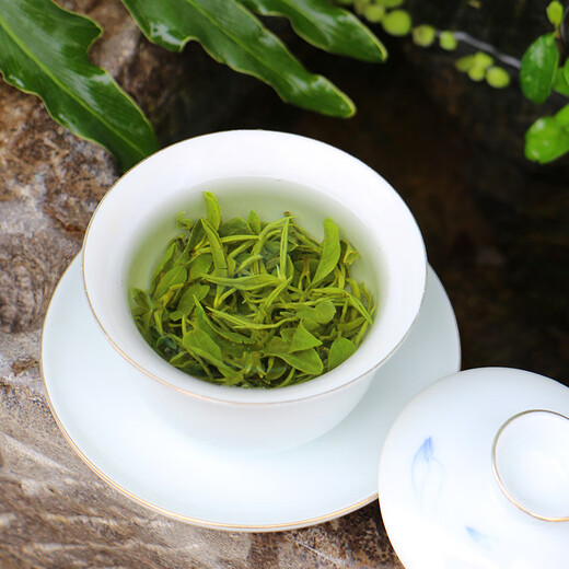 Yuheng Chun Rizhao Green Tea 2025 New Tea Spring Tea Bulk Bags Extra Strong Flavored Green Tea Specialties 500g Gift 6 Choose One