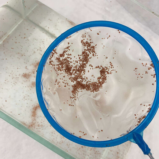 Juchuangqi Harvest Shrimp Egg Dense Net Fishing Net Ultra-fine Mesh Fishing Net Small Fry Artemia Egg Hatching Net Small Fishing Ultra-fine Net Fishing-Small Random Color