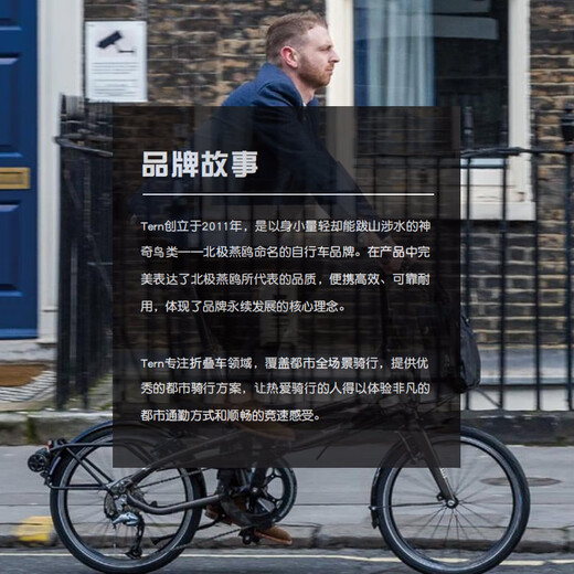 TERN Verge X11 folding bicycle adult folding bicycle variable speed bicycle folding bicycle Verge X11 Aurora Silver + 11 speed | 22 inches