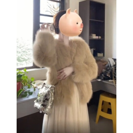 Tafu brand women's fox fur coat for women 2025 winter new small short small fragrance style fur coat apricot color L