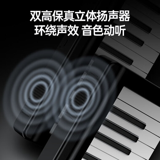 特伦斯手卷钢琴88键折叠电子钢琴便携成人儿童演奏钢琴键盘