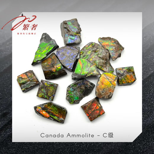 Fanluxe Canadian Ammonite Sample Crushed Stone Edge Material Crushed Stone Fossil Ornament Collection C Grade (One will be shipped randomly)