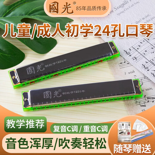 国光口琴初学者24孔初学者入门儿童复音成人专业演奏级重音口琴 24孔重音口琴