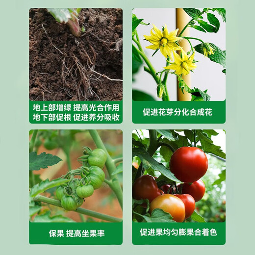 3% Sodium Nitrate and Sodium Nitrate, Fresh Fat, Vegetable Tomato Root Promoting Plant Growth Regulator Pesticide 500g*5 Bottles