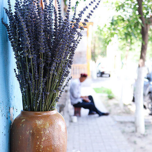 AIMAN dried lavender bouquet living room home decoration natural dried bouquet real flower aromatherapy internet celebrity flower arrangement ins gift 250g British blue half Jin Jin is equal to 0.5kg long style new summer flowers all in English newspaper packaging