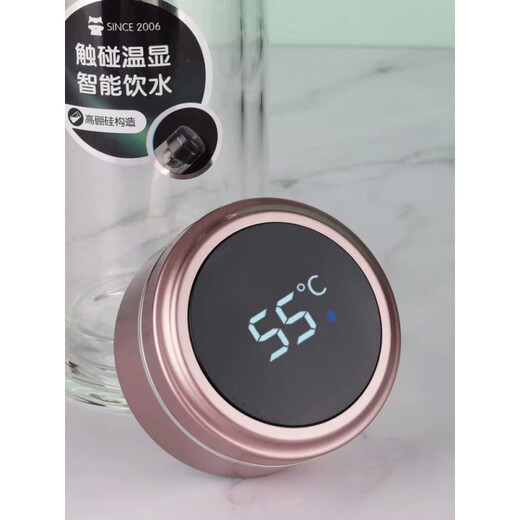 Shantoulin Village Light Luxury High Great Glass Copa de vidrio Gran capacidad de temperatura inteligente Pantalla de engrosamiento de engrosamiento de doble capa 4884 gris (300 ml)