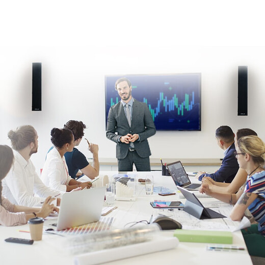 Gmtd Jinmai small and medium-sized conference room audio microphone set USB wireless microphone professional audio amplifier equipment video conference microphone audio combination 30-200 150 flat mixer 124+ sound column CL05*1 pair