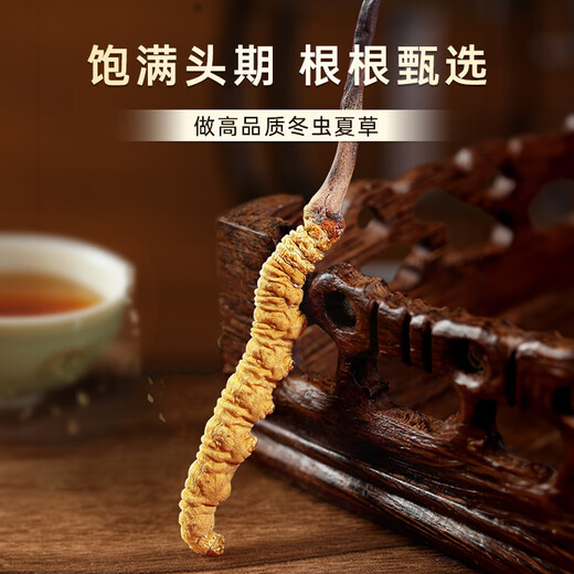 首养堂冬虫夏草3根/g 50克虫草礼盒新干冬虫草补品送父母【大规格礼盒】